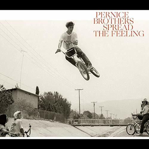 Lp Spread The Feeling - Pernice Brothers