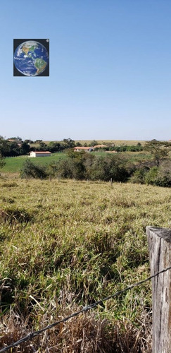 Imagem 4 de 6 de Terreno A Venda . - 236-1