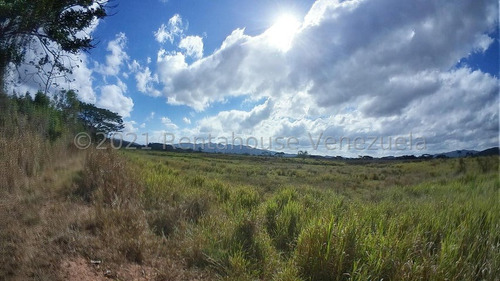 Imagen 11 de 30 de &&& Finca En Venta En Nirgua Yaracuy Rah 23-17575 // Invierta Seguro Con Rentahouse//