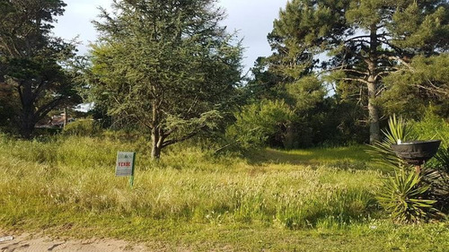 Terreno - Golf Viejo