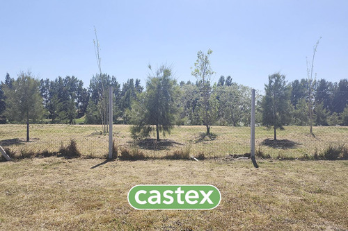 Lote En Venta En Castaños, Nordelta.