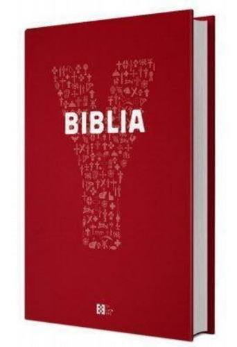 Livro Bíblia Jovem Youcat Capa Cristal Ilustrada Católica