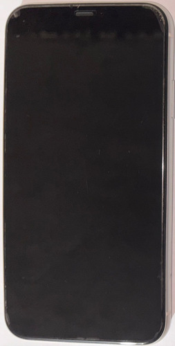 Celular iPhone 11 Usado (Usado)