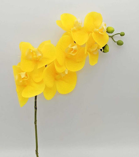 Orquidea Amarela Com Folha E Raizes Artificiais Silicone | Parcelamento sem  juros