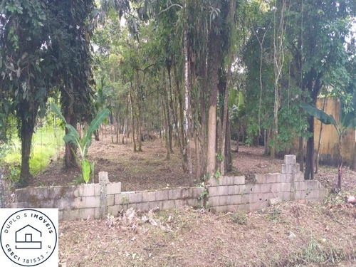 Imagem 8 de 10 de Terreno Em Área De Chácara , Em Itanhaém , Bairro Jd Aguapeu , Lado Morro. - 6531 - 69937470