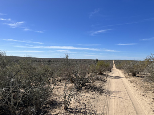 Km 43, El Mezquite De Don Dominguez