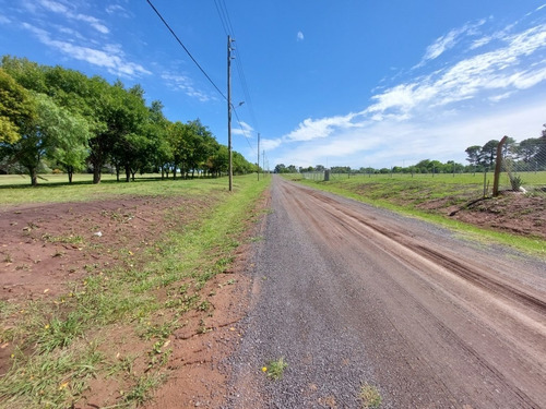 Imagen 8 de 30 de Terreno Lote En Venta Ubicado En Zelaya, Pilar, G.b.a. Zona Norte