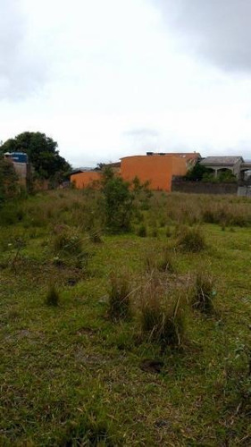 Imagem 2 de 3 de Área Para Venda Em Porto Real, Village - 0143_1-462080