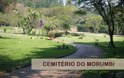 Jazigo Cemitério Morumbi - Área Nova - Sem Uso