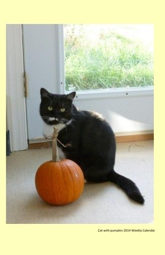 Cat With Pumpkin 2014 Weekly Calendar A Week By Week Calenda