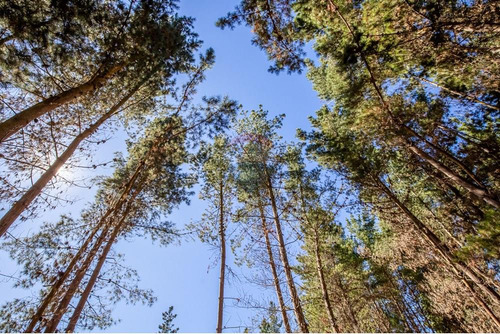Cinco Domos Con Humedal, Bosque Y Río En Algarrobo