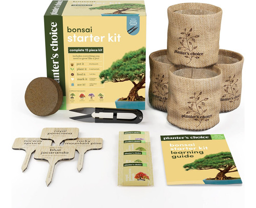 Kits Para Empezar Un Bonsái Con Árbol Y Herramientas De Adul