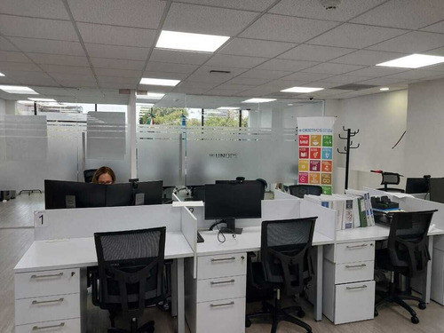 Oficina Plug And Play Con Terraza En Polanco
