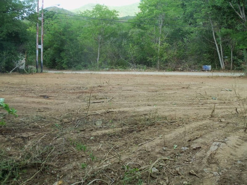 Imagen 3 de 8 de Terreno En La Poblacion De Tacarigua 21-2940
