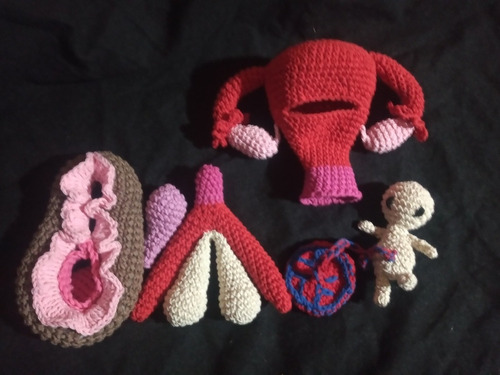 Útero Crochet Parto Natural Y Cesárea Con Vulva Y Mama