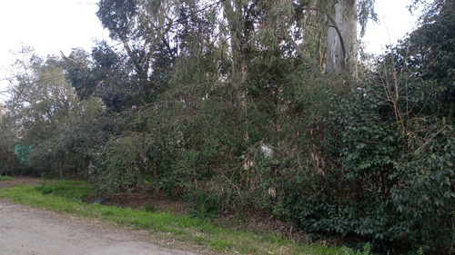 Lotes En Fátima