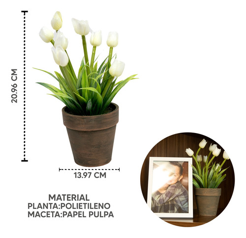 Tulipán En Maceta De Papel Maché Minimalista 20cm Interior