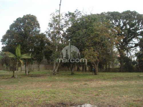 Imagem 6 de 10 de Excelente Terreno - Mte-074