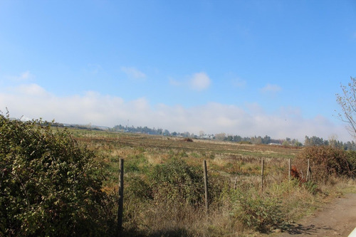 Imagen 4 de 11 de 100% Financiamiento. Terreno Con Potencial Comercial En Teno
