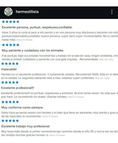 Peluquería Canina Felina Perro Gato Domicilio Caba Alrededor