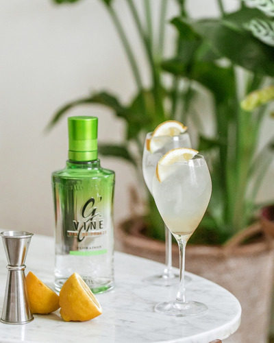 Gin G Vine De France Floraisson 1 Litro Importado Francés