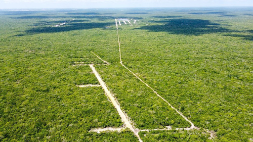 Imagen 1 de 3 de ¡¡¡¡venta!!!! De Terreno En -dzidzilché, Mérida