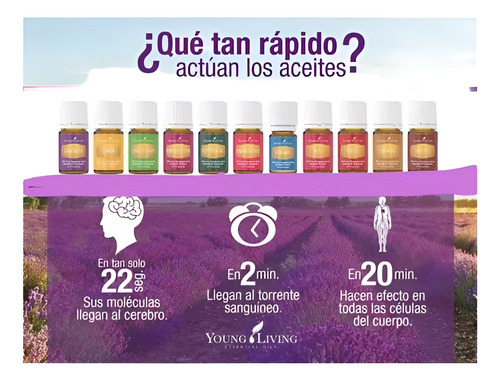 Aceite Esencial De Valor 5ml Original Sellado Young Living