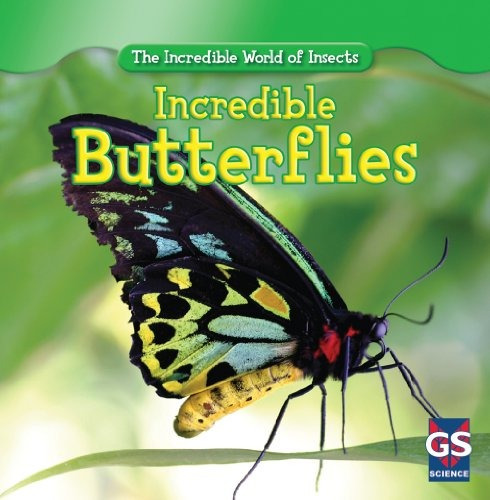 Incredible Butterflies (the Incredible World Of Insects)