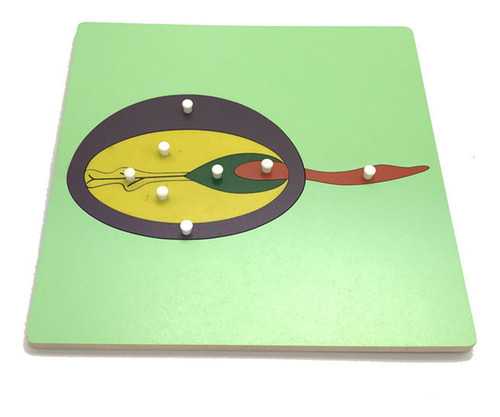 (b) Rompecabezas Montessori, Forma De Animal, Forma De Ceril