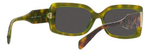 Mk2165 Lentes De Sol Corfu Carey Michael Kors Multicolor Multicolor