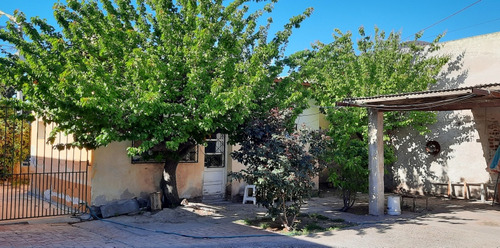 Imagen 9 de 9 de Inmueble De 525 M2 Dos Casas / Vivienda O Comercial -trelew