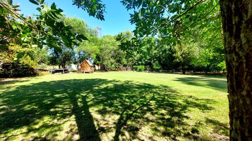 Imagen 8 de 22 de Excelente Quinta Con Pileta Y Gran Parque A La Venta En Abbott - Monte