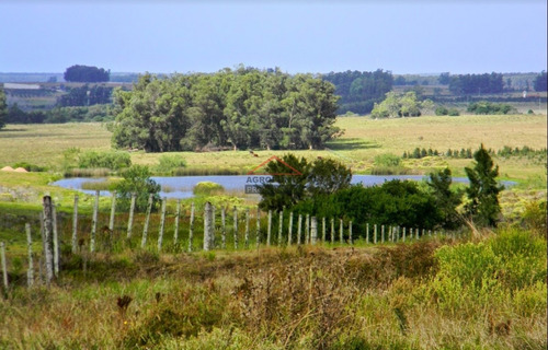 Campo En Venta 96hec- Ref: 5690