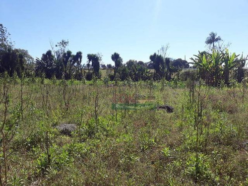 Imagem 2 de 7 de Chácara Com 1 Dormitório À Venda, 7000 M² Por R$ 500.000,00 - Parque Lago Azul - Pindamonhangaba/sp - Ch0388