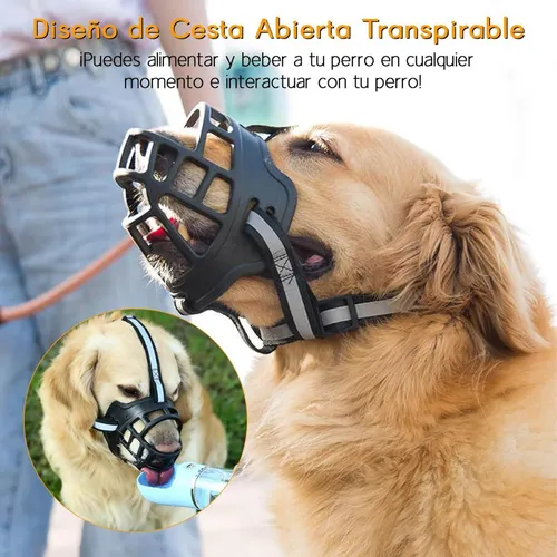 Bozal For Perro De Entrenamiento Todas Las Tallas