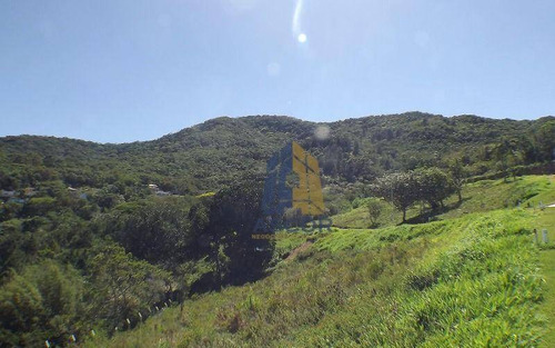 Imagem 13 de 18 de Terreno Residencial À Venda, Itacorubi, Florianópolis. - Te0152