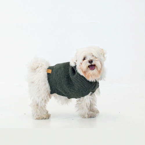 Abrigo Chaleco Sweater Roma Para Perros Gato Mypaw X S