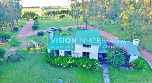 Imagen 20 de 30 de Chacra De 15 Hás Con El Confort De Hermosa Casa Reciclada, Barbacoa Y Piscina Climatizada.