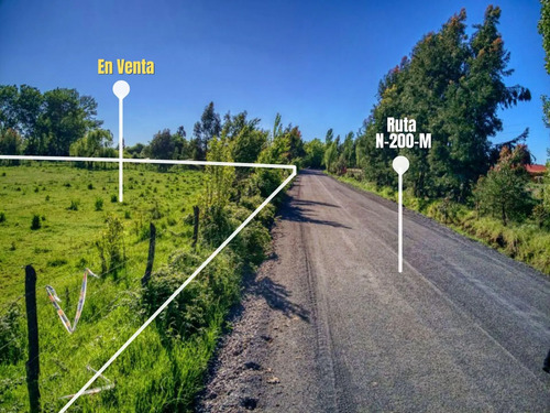 Parcela En Venta En San Carlos, Orilla De Camino Gran Frente