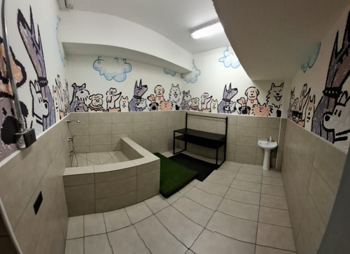 Precioso Depto Nuevo, Edif. Los Maitenes 1 Dormitorio 1 Baño