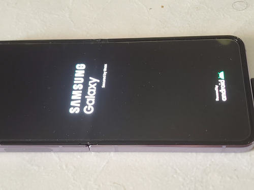 Samsung Flip 4 (Usado)