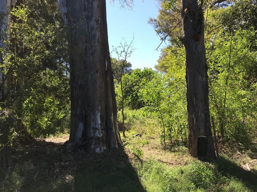 Imagen 3 de 12 de Terreno En Venta En San Antonio De Areco