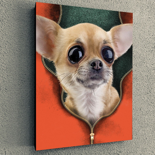 Cuadro De Perro Mascota Cachorro Chihuahua