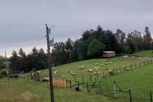 Campo En Venta Inversionista Pitrufquen (104143)