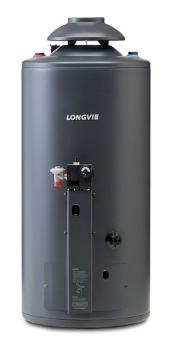 Termotanque Longvie Tp860ar Recupera 840 L/h