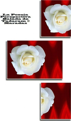 La Poes A Perspectiva Balada De Tadaram (c) Maradas, De Tadaram Maradas. Editorial Createspace Independent Publishing Platform, Tapa Blanda En Español