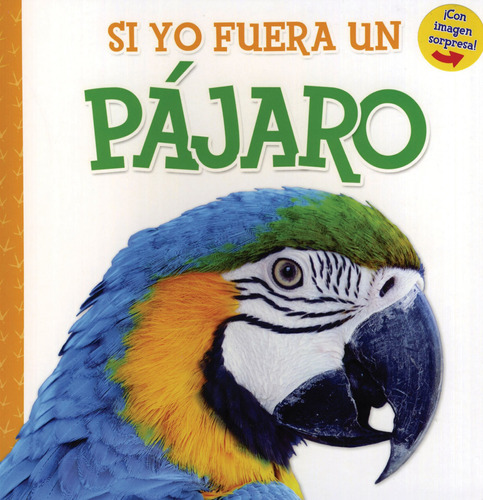 Si Yo Fuera Un Pajaro, de Gates, Laura. Serie Si Yo Fuera Un Gato Editorial Kidsbooks, tapa dura en español, 2017