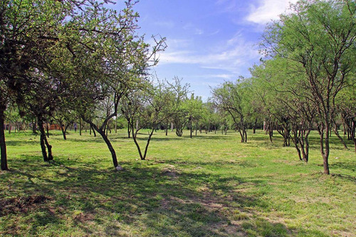Imagen 9 de 14 de Venta De Lotes En Merlo San Luis Arroyo El Tigre Oportunidad