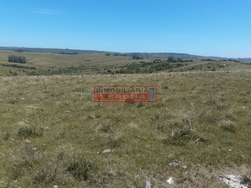 Imagen 13 de 16 de Campo En Carape - Departamento De Maldonado