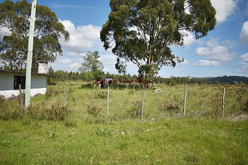 Imagen 6 de 12 de Venta Chacra En San Carlos, Ruta 9